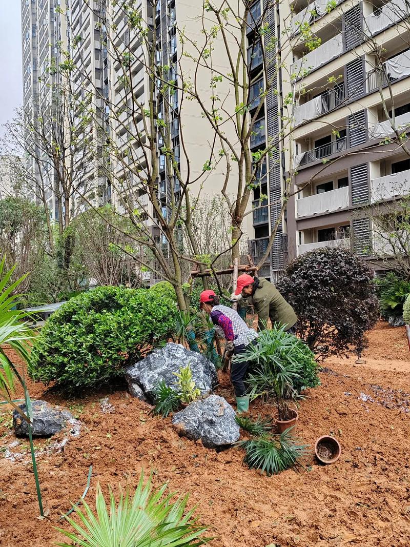 園林綠化工程 從設計到施工，打造宜居小區景觀