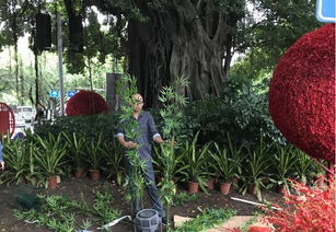 福州市園林局與監督站協同發力，以優質綠化獻禮十九大